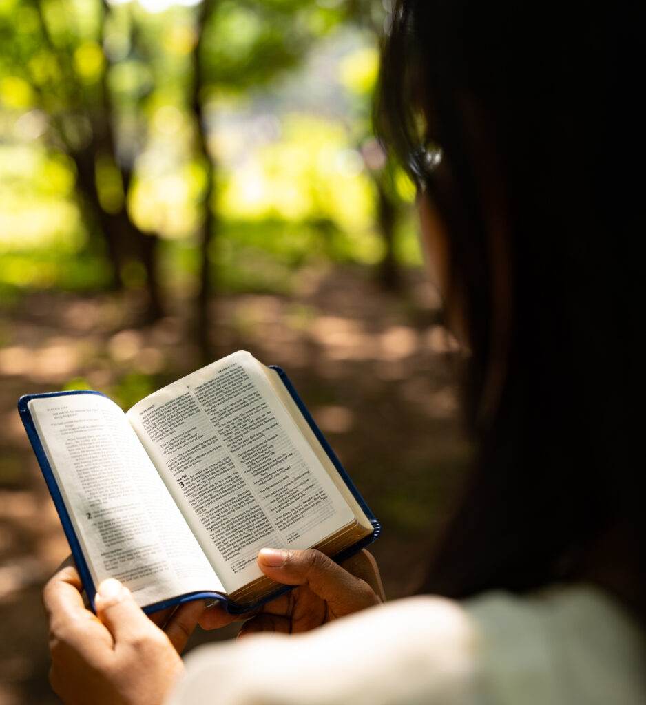 Home dsc01607 (1) 2(1)