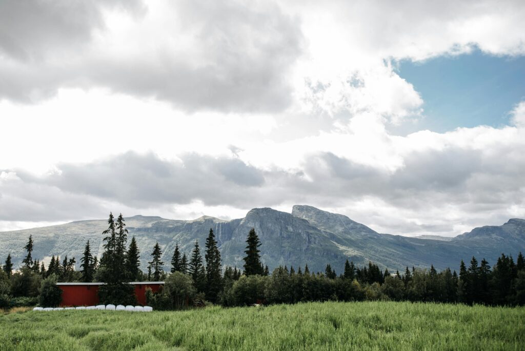 DAY 53 - OBEDIENCE Stunning mountain view with green fields, pine trees, and a red barn under cloudy skies.