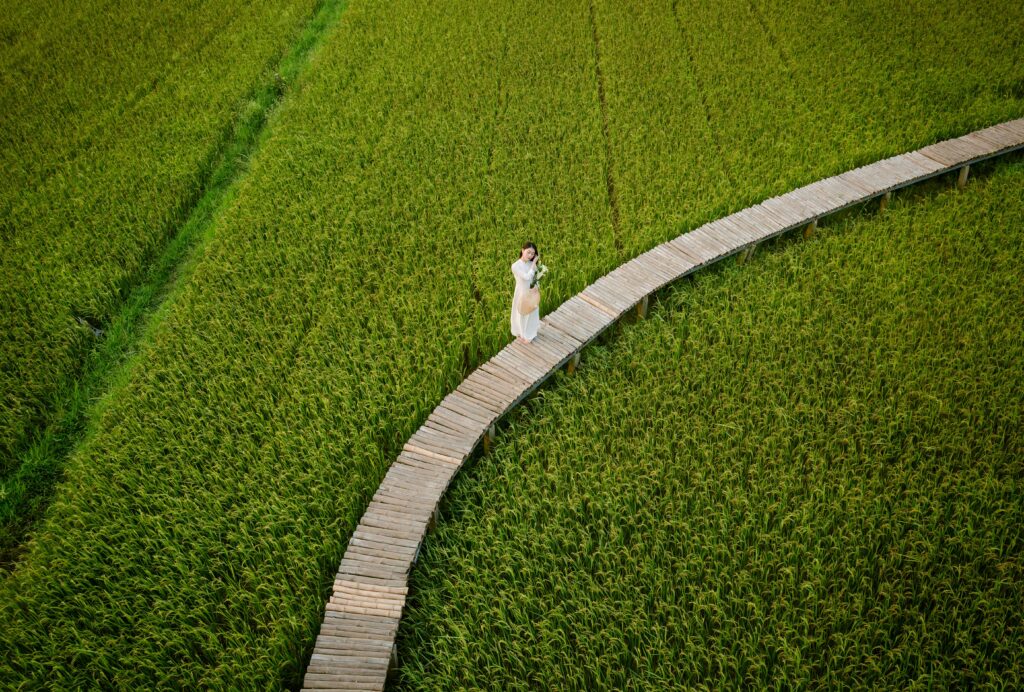 A woman in a white dress stands on a curved wooden path through a lush green field.
