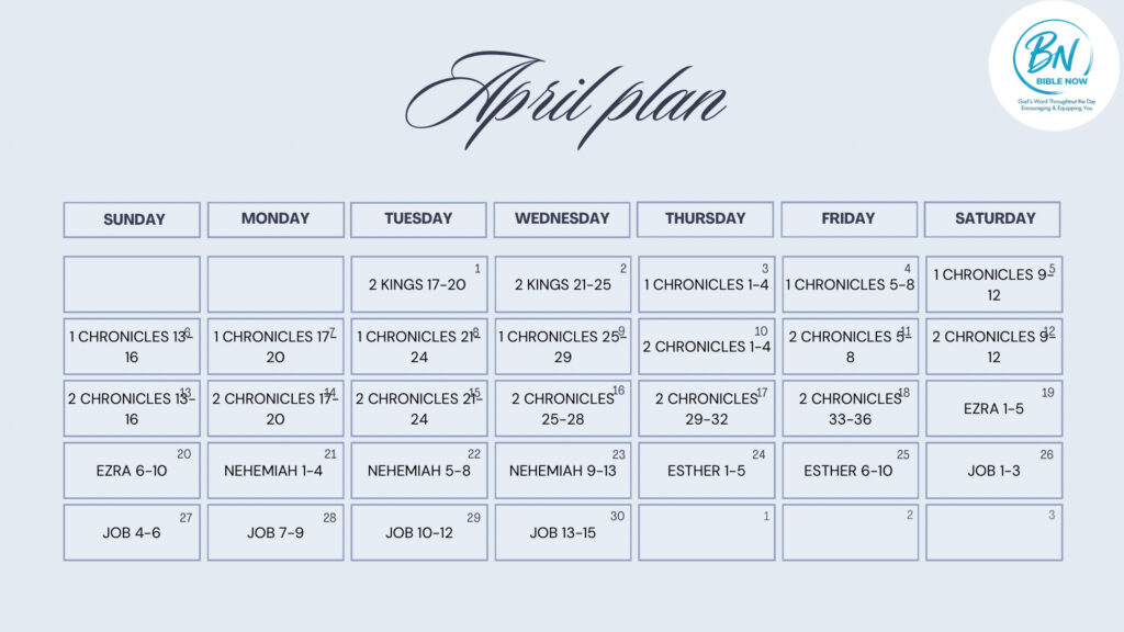 28e95873 7fbd 42bb a46e cea5b08049fd