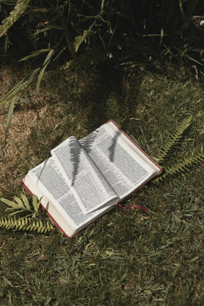 An open Bible lying on grass surrounded by fern leaves, capturing a peaceful outdoor scene.