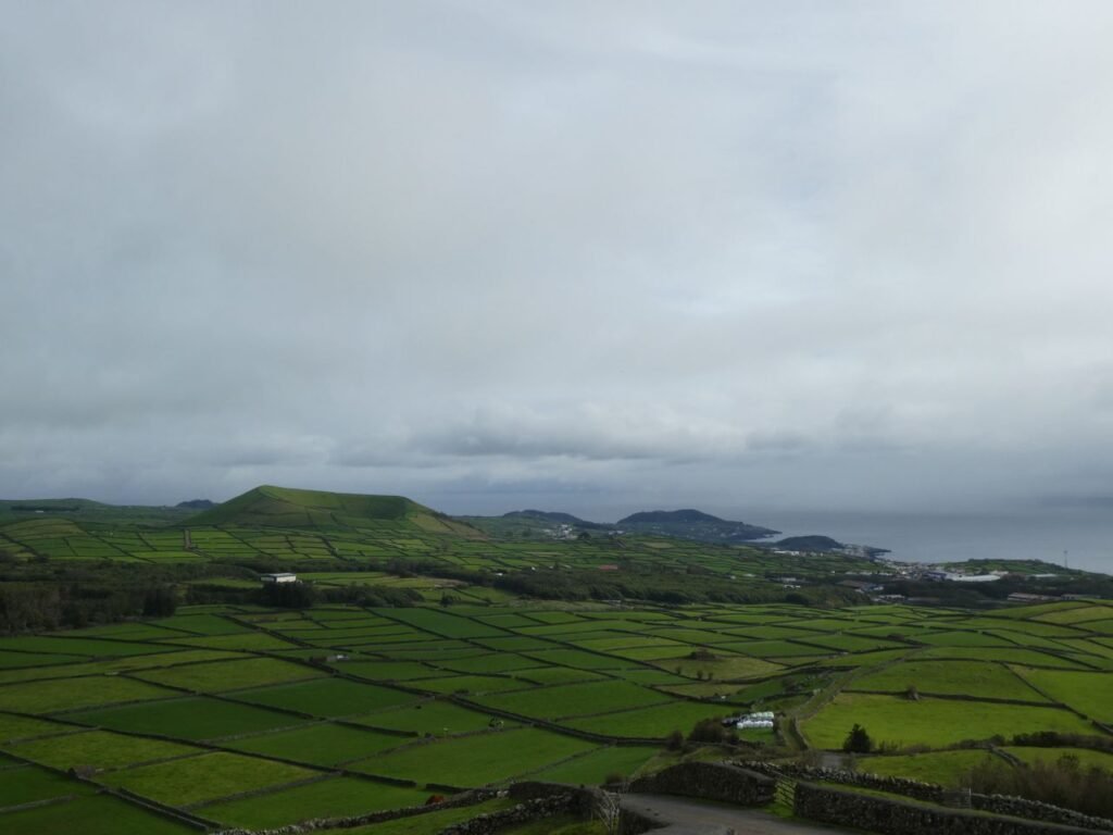 Vast green fields with geometric patterns, under a cloudy sky near the ocean.