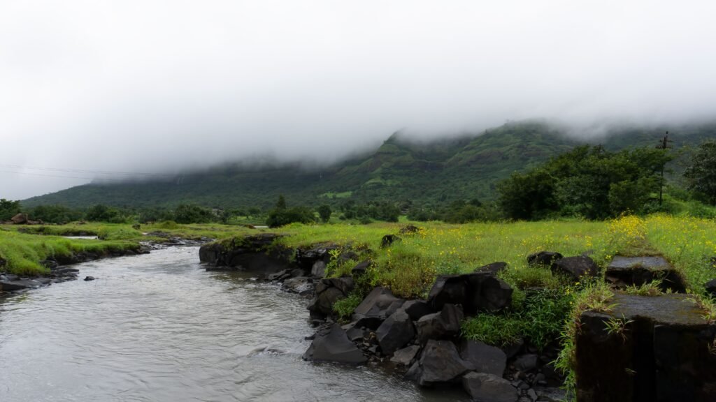 A scenic view of a fog-covered mountain with a flowing stream and vibrant green meadow.